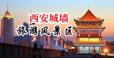 天天操动物和操美女与曾中国陕西-西安城墙旅游风景区
